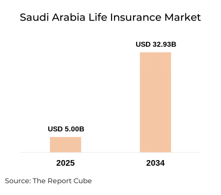 Saudi Arabia Life Insurance Market Report and Forecast 2026-2034