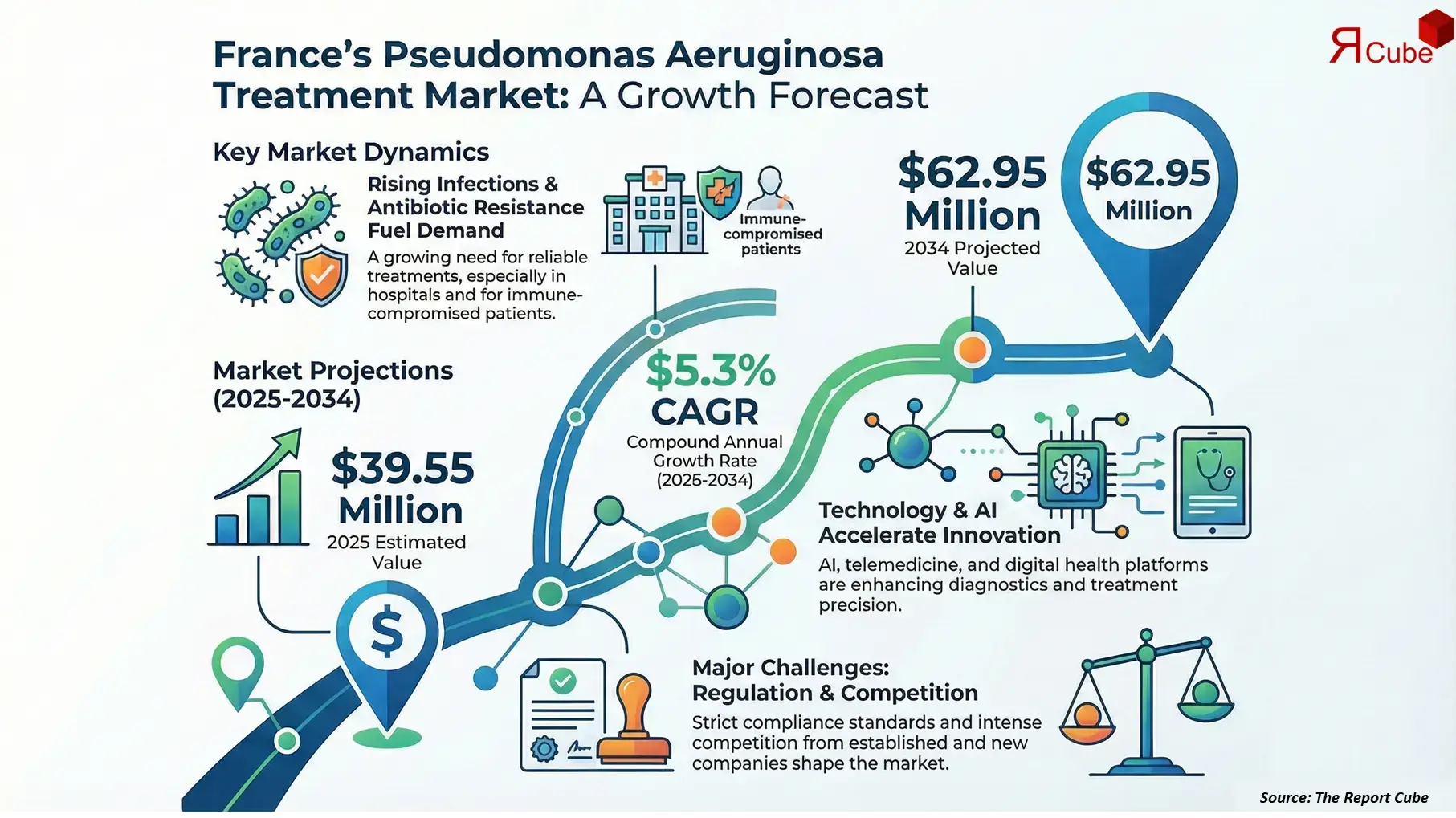 France Pseudomonas Aeruginosa Treatment Market 2026-2034 infographic covering competitive landscape and insights