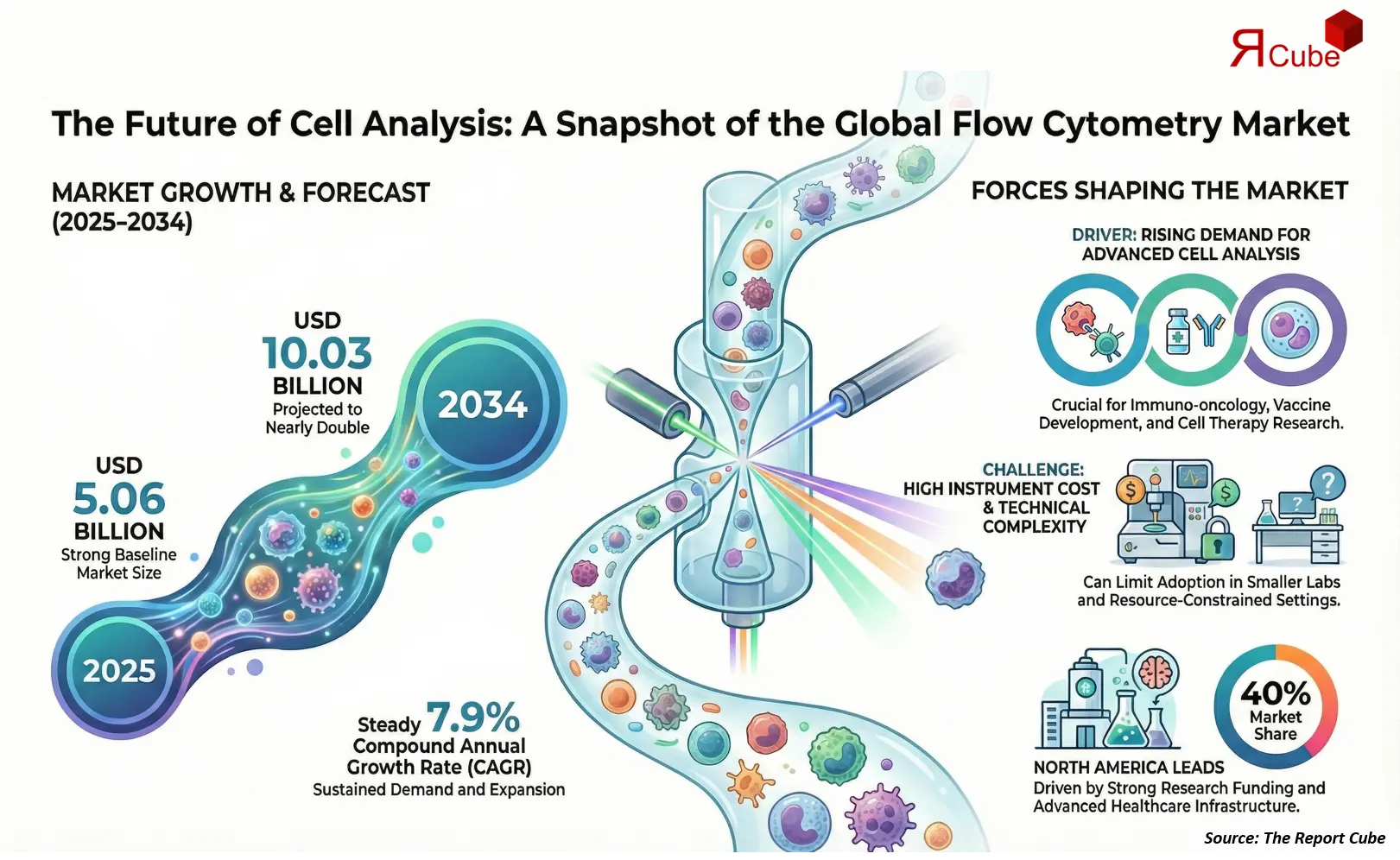 Global Flow Cytometry Market 2026-2034 infographic explaining market structure and opportunities