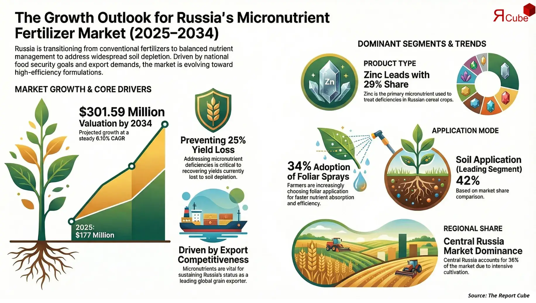 Russia Micronutrient Fertilizer Market 2026-2034 infographic explaining market structure and opportunities