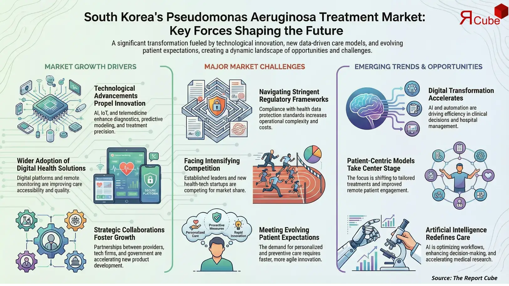 South Korea Pseudomonas Aeruginosa Treatment Market 2026-2034 infographic explaining market structure and opportunities