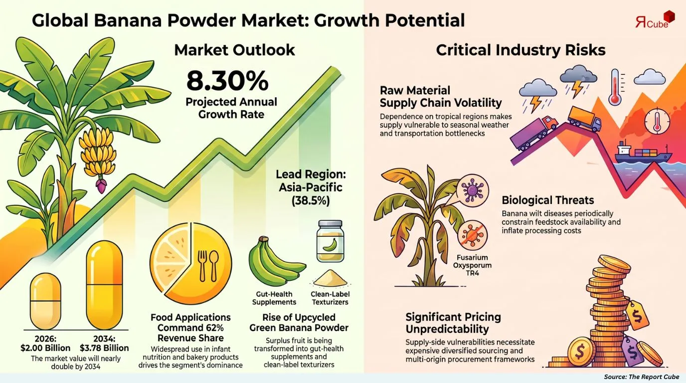 Global Banana Powder Market Report
