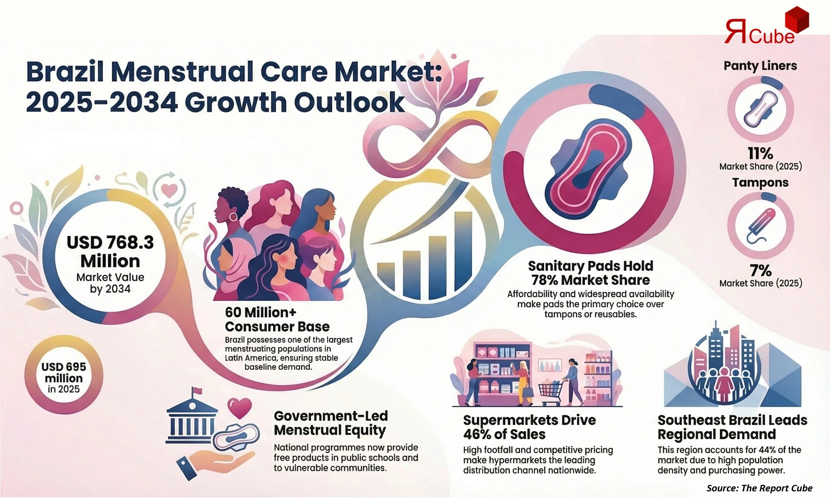 Brazil Menstrual Care Market 2026-2034 infographic explaining market structure and opportunities