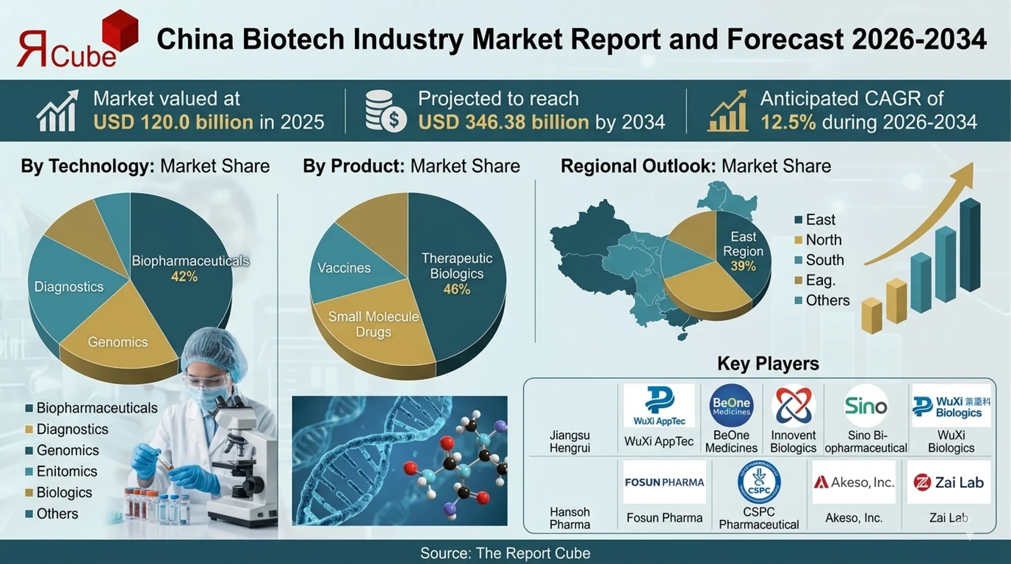 China Biotech Industry Market 2026-2034 infographic showing market segmentation and growth outlook