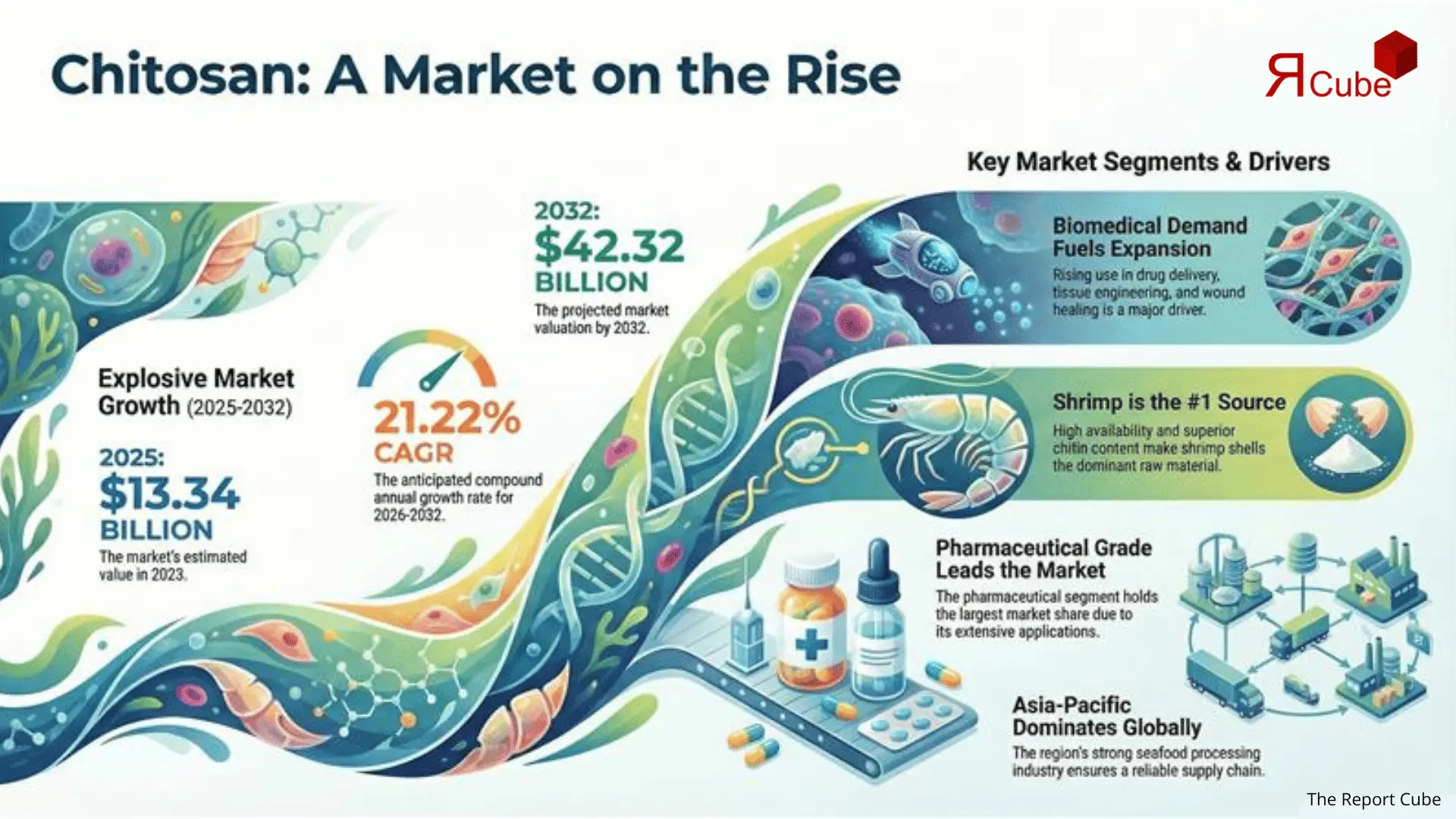 Global Chitosan Market Size, Share, Growth Analysis, 2032 infographic explaining market structure and opportunities