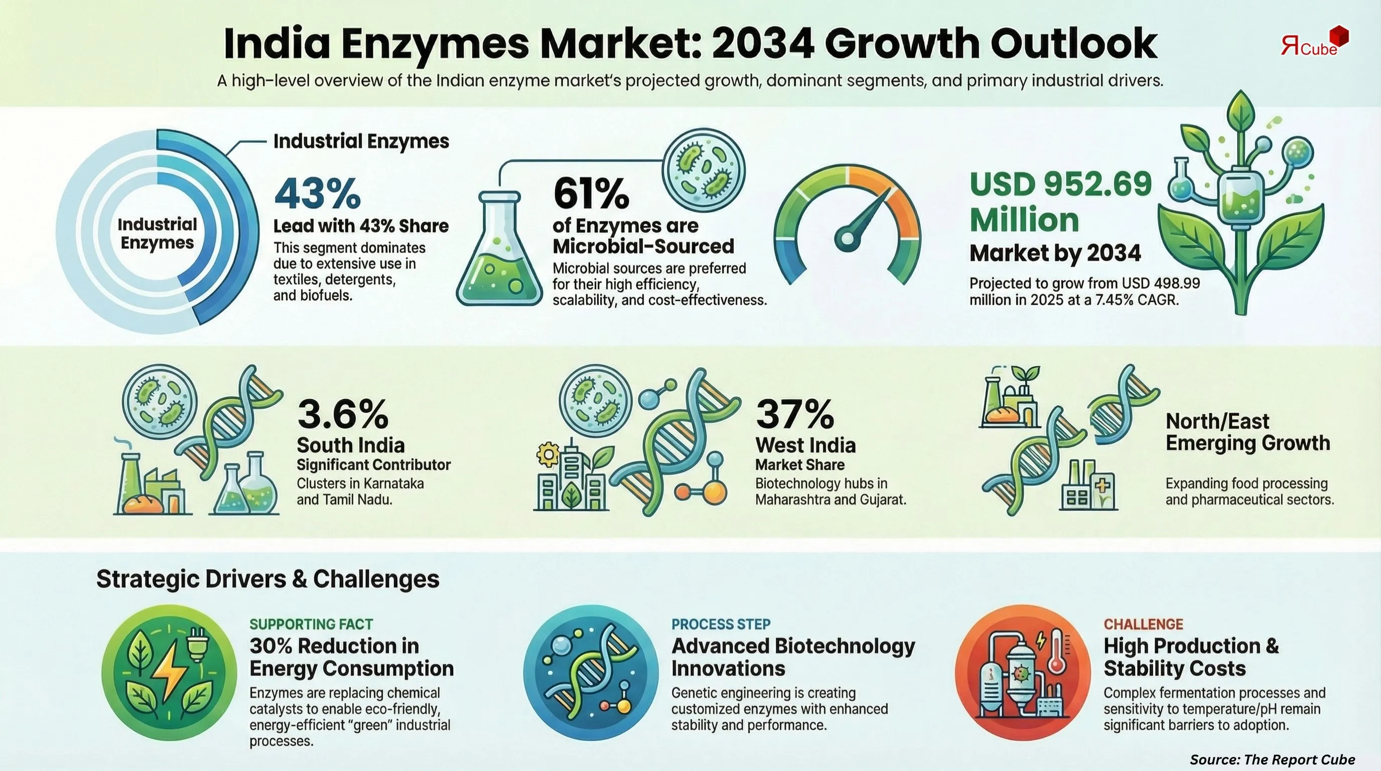 India Enzymes Market Report