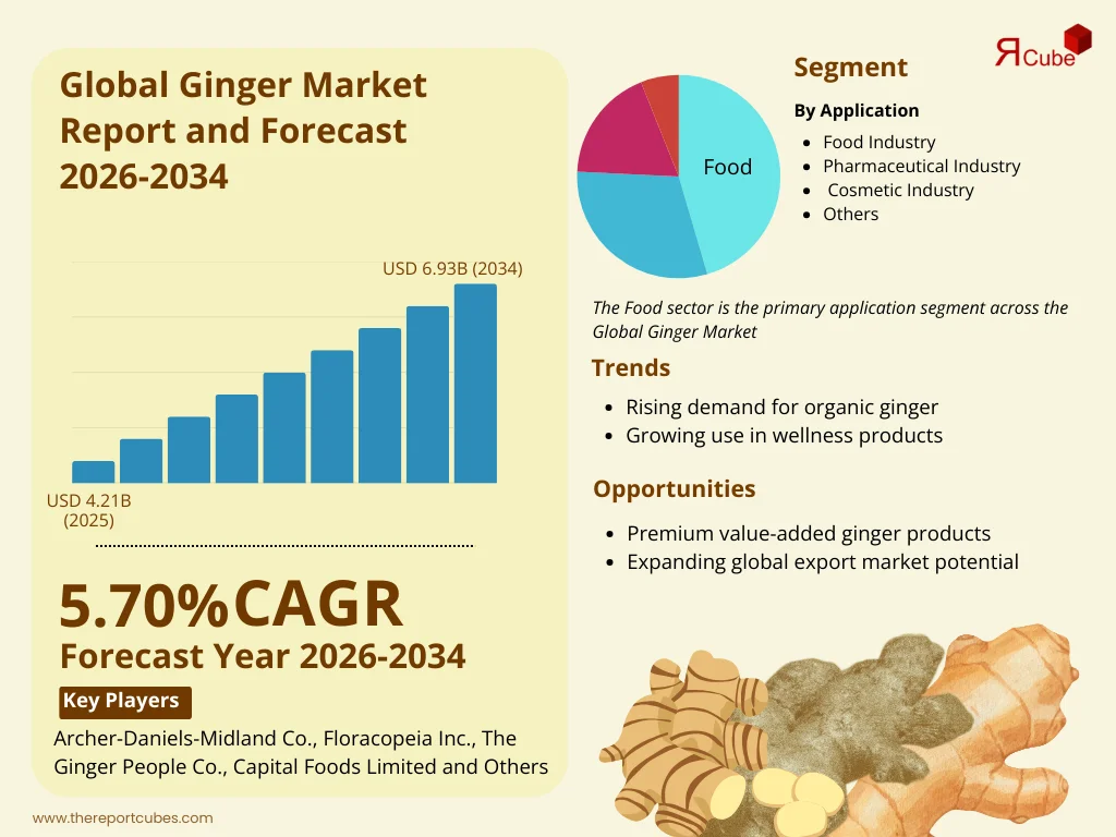 Global Ginger Market Report and Forecast 2026-2034