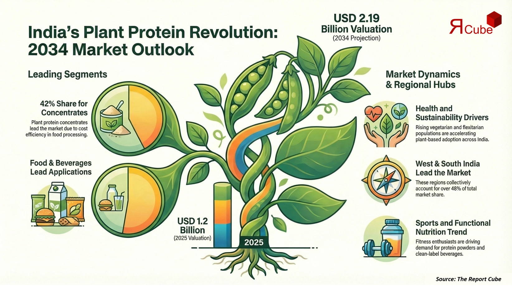 India Plant Protein Market 2026-2034 infographic showing market segmentation and growth outlook