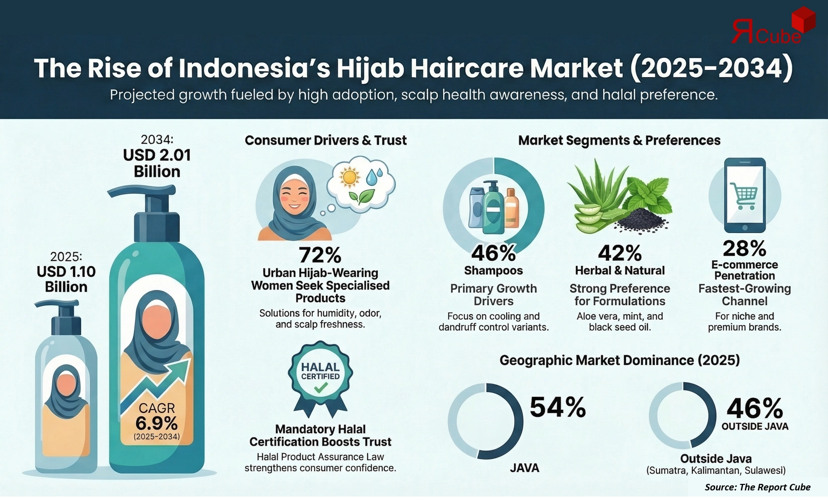 Indonesia Haircare Products for Hijab Consumers Market 2026-2034 infographic explaining market structure and opportunities