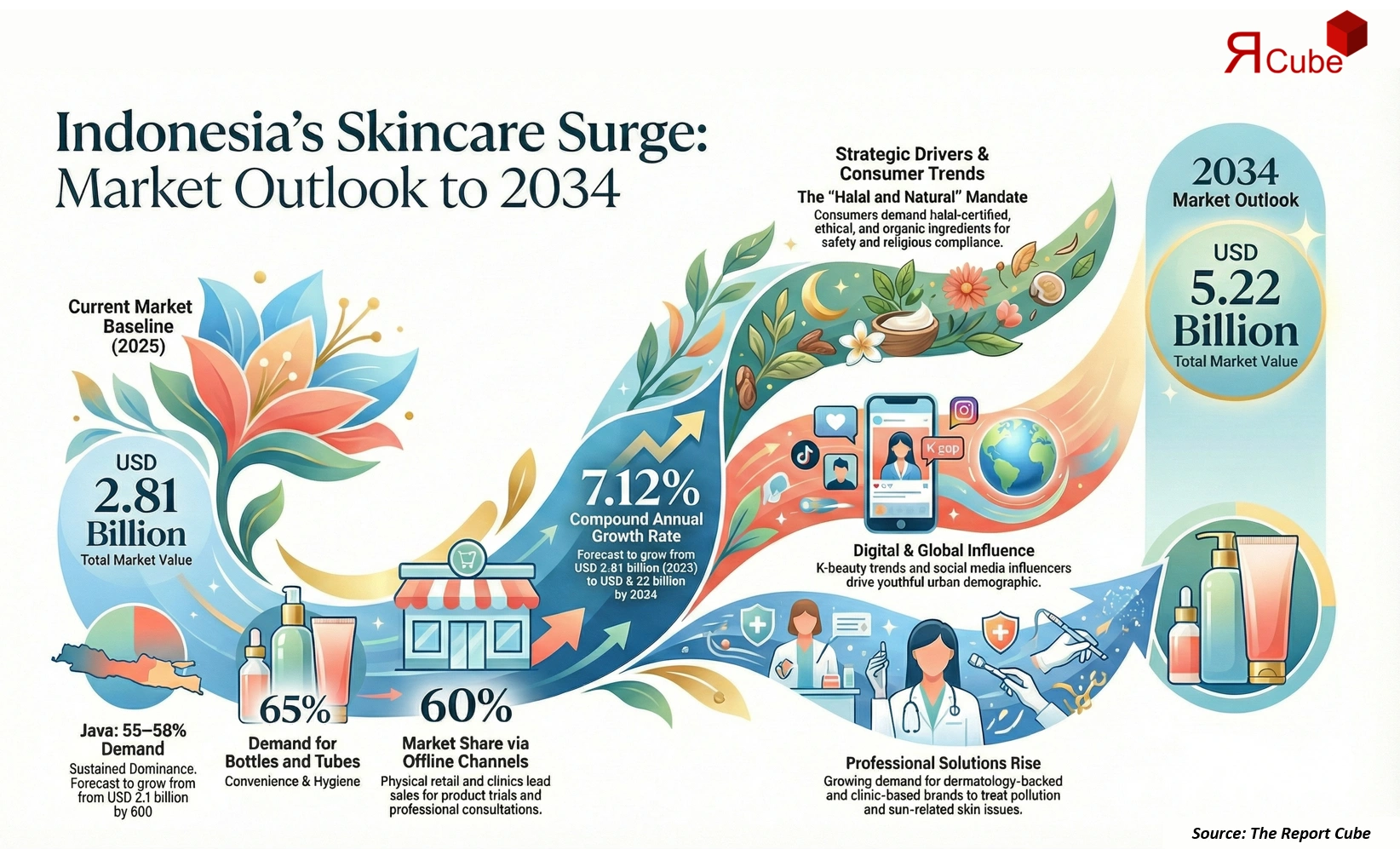 Indonesia Skin Care Market 2026-2034 infographic explaining market structure and opportunities
