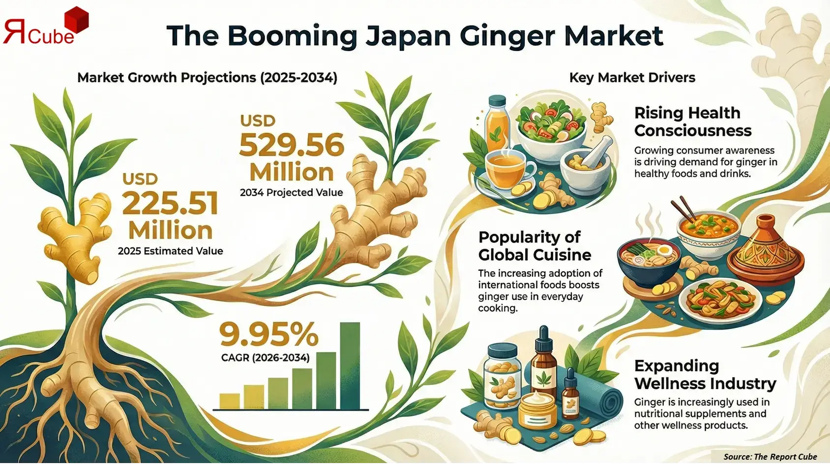 Japan Ginger Market 2026-2034 infographic showing market segmentation and growth outlook