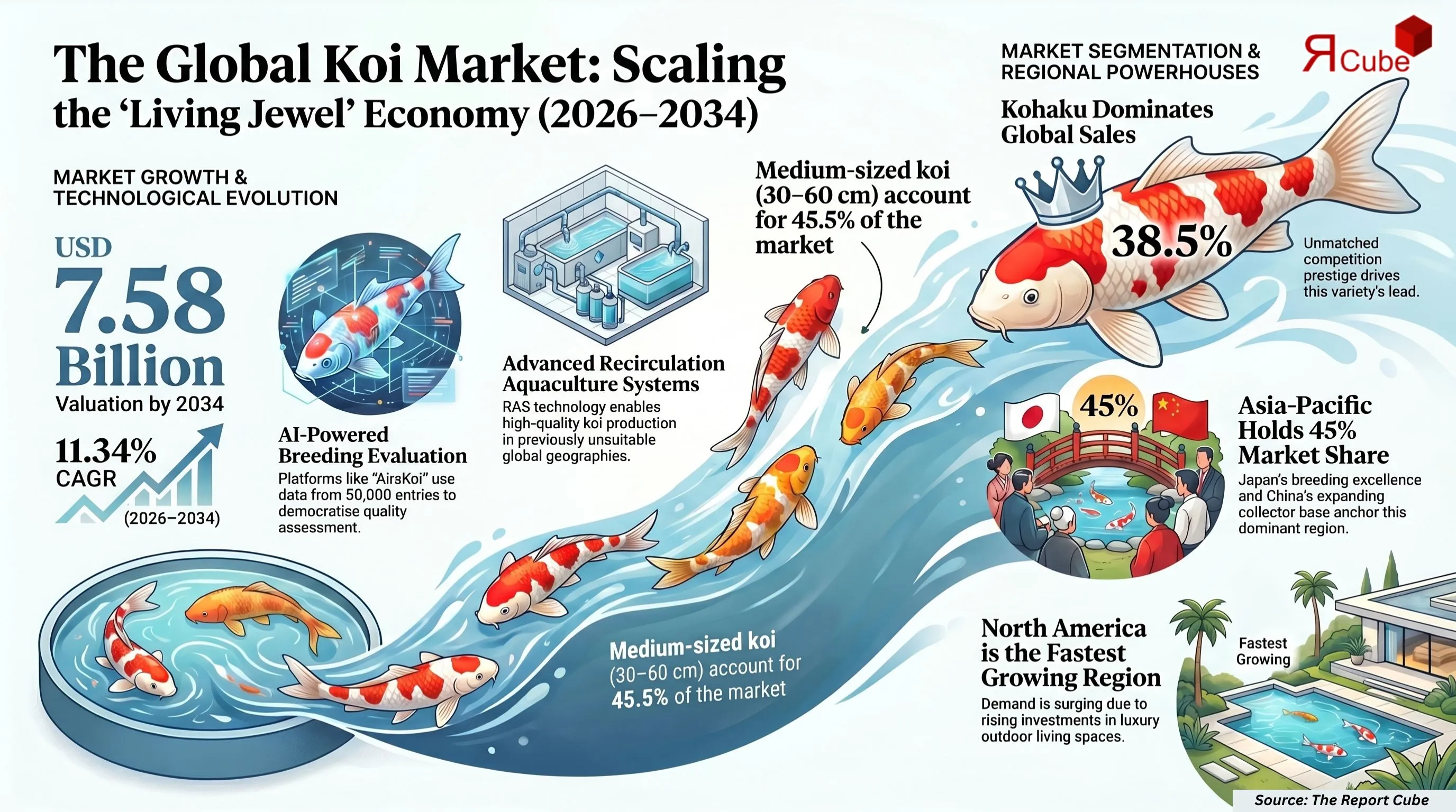 Global Koi Market Report