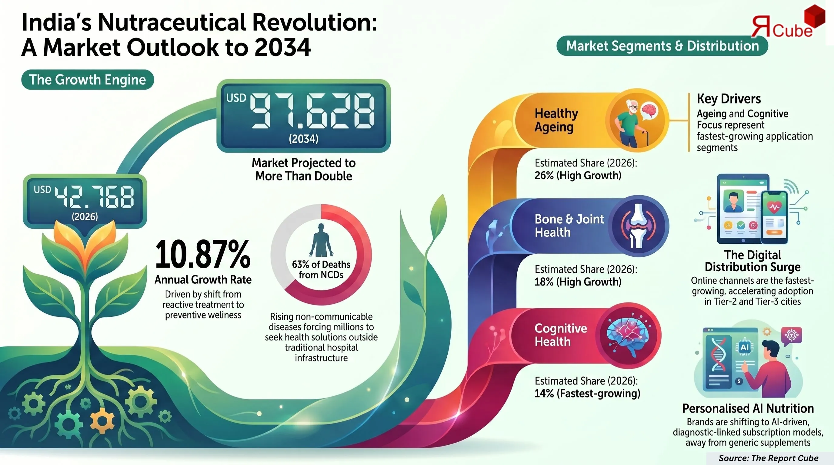 India Nutraceuticals Market Report
