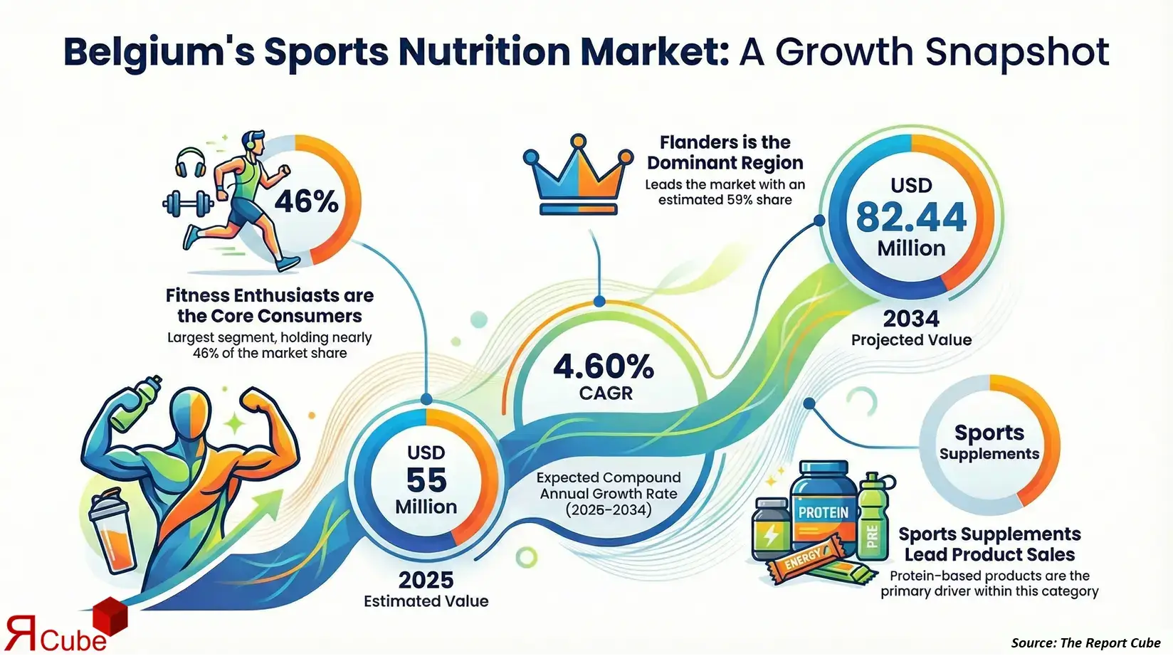 Belgium Sports Nutrition Market 2026-2034 infographic explaining market structure and opportunities