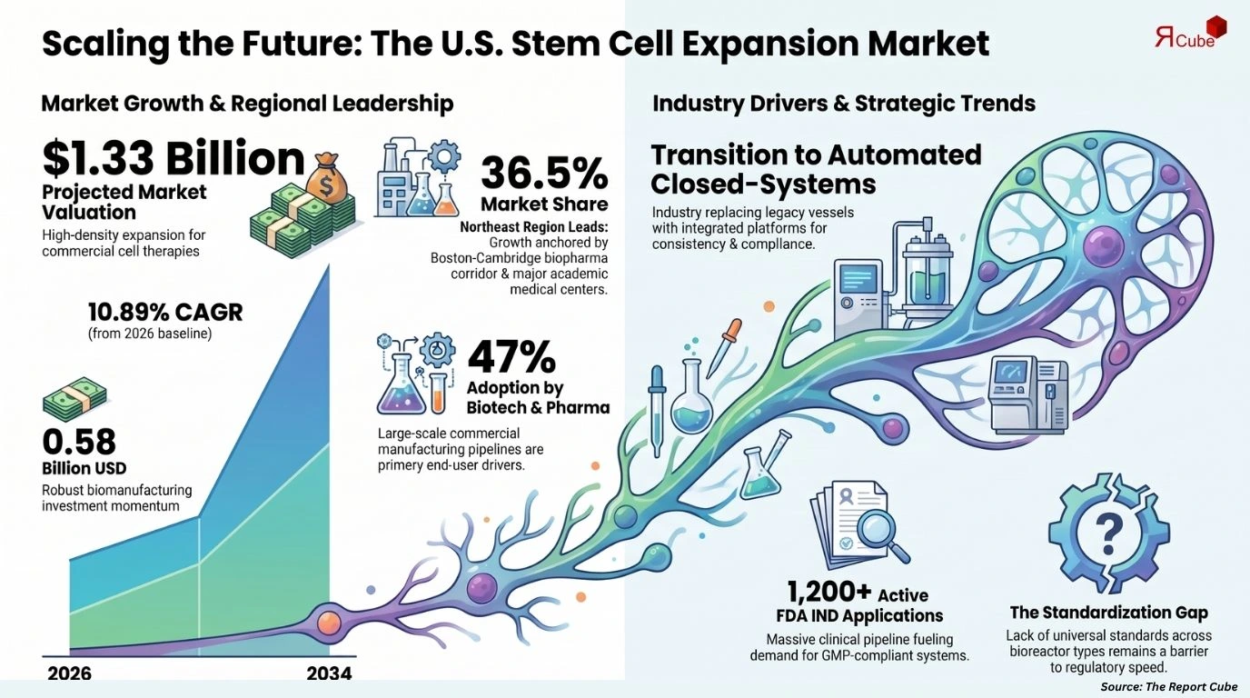 United States Stem Cell Expansion Technologies Market Report and Forecast 2026-2034