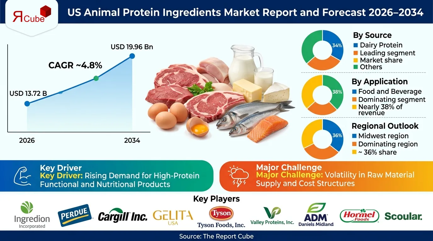 US Animal Protein Ingredients Market 2026-2034 infographic covering competitive landscape and insights