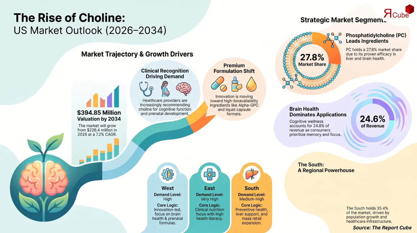 United States Choline Supplements Market Report and Forecast 2026-2034