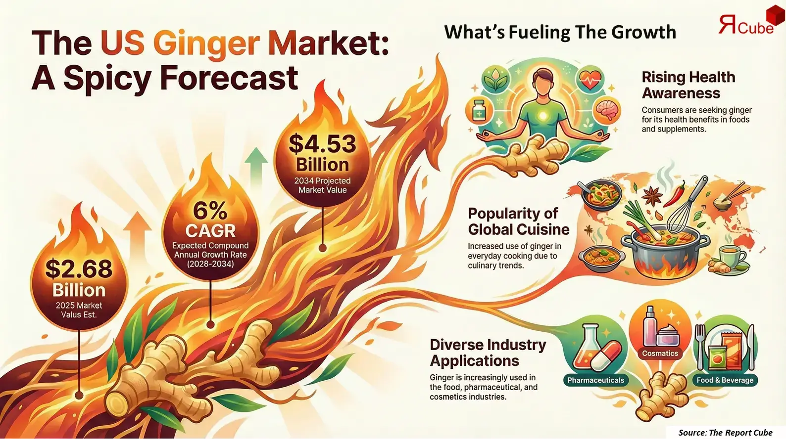 United States Ginger Market 2026-2034 infographic covering competitive landscape and insights