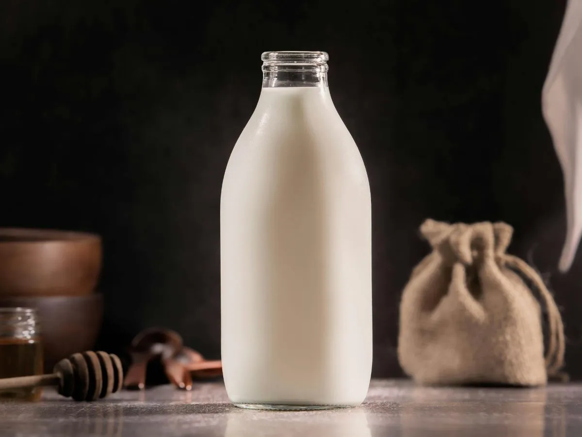 Bahrain Camel Milk Market to Observe Steady Expansion with CAGR of 3.94% & USD 58.90Mn by 2034