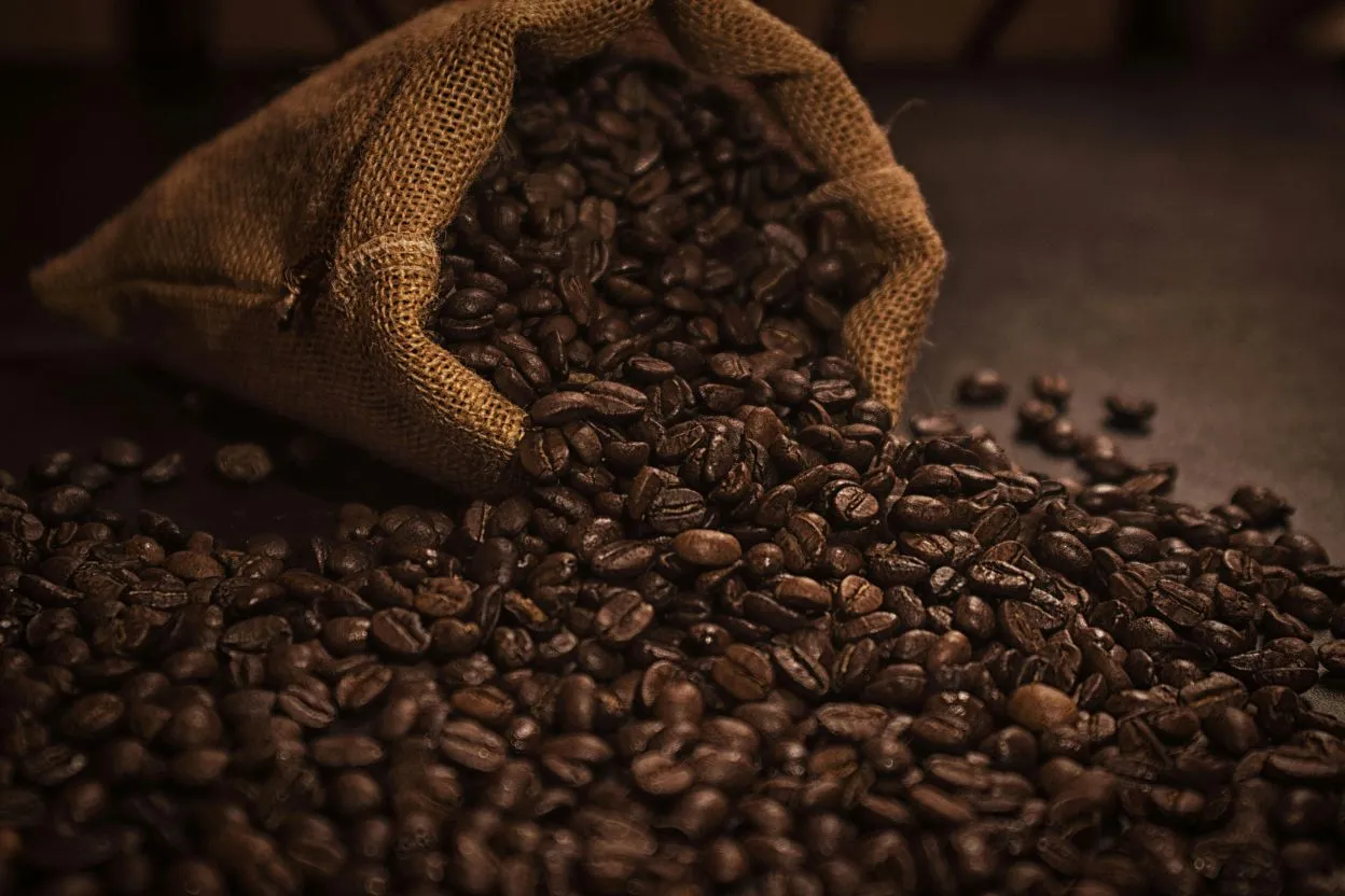 Vietnam Organic Coffee Market Set to Reach USD 101.76 Billion by 2034, Driven by Sustainable Farming and Global Premium Demand