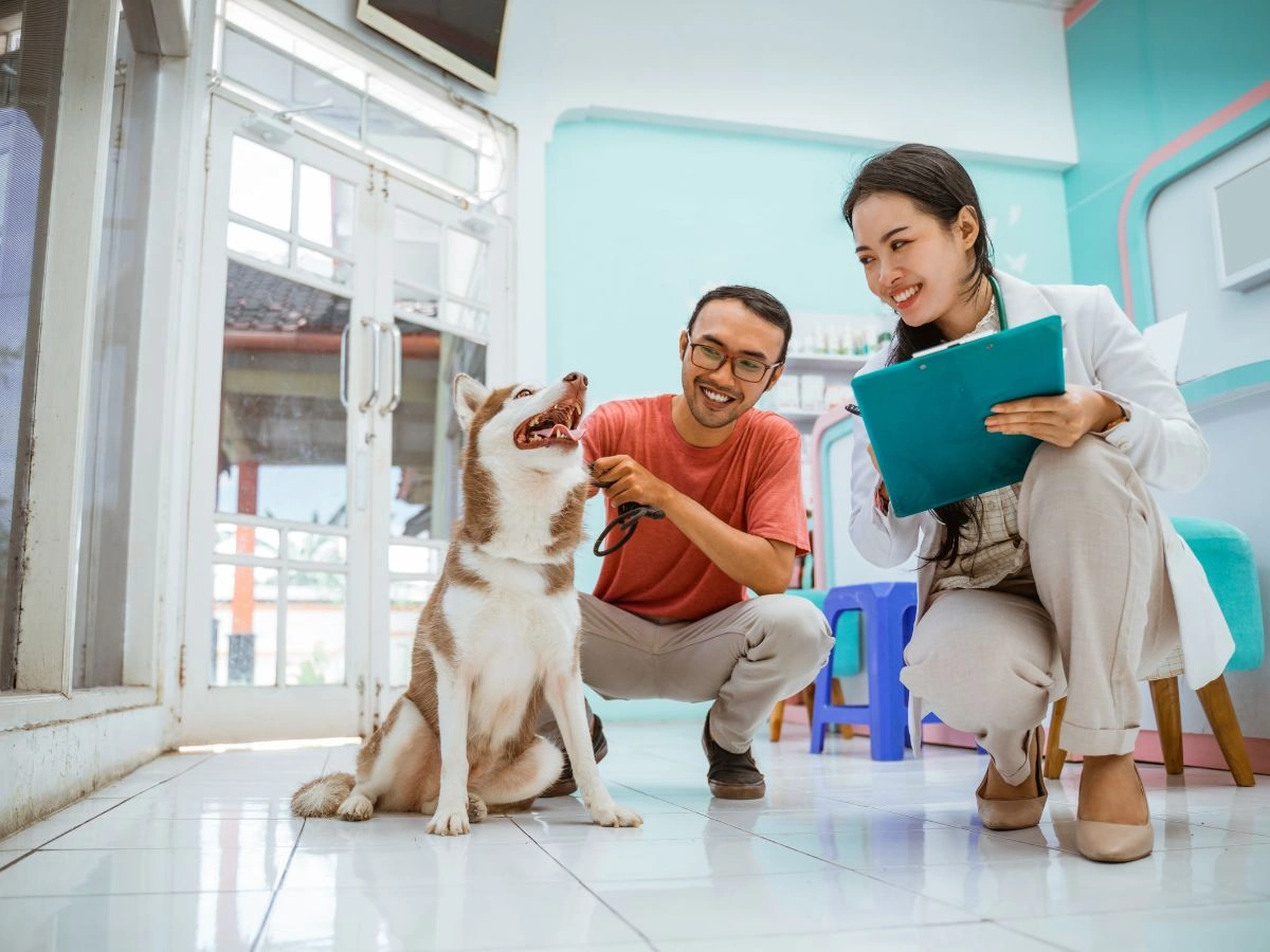 UAE Pet Care Services Market to Reach USD 49.63 Billion by 2034, Driven by TAMM Registration Mandate, Wellness Clinic Expansion & Pet Premiumization