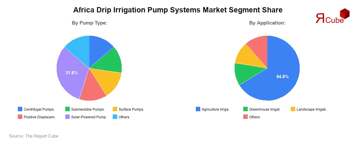 Africa Drip Irrigation Pump Systems Market Segment Share