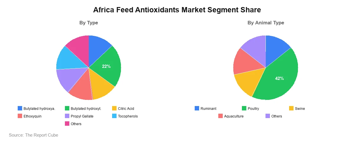 Africa Feed Antioxidants Market Africa Feed Antioxidants Market Segment Analysis