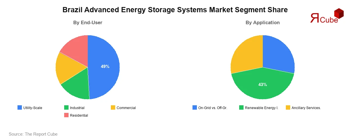 Brazil Advanced Energy Storage Systems Market Segment Share Brazil Advanced Energy Storage Systems Market Segment-wise Analysis