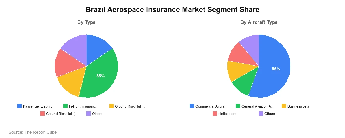Brazil Aerospace Insurance Market Segment Brazil Aerospace Insurance Market Segment-wise Analysis