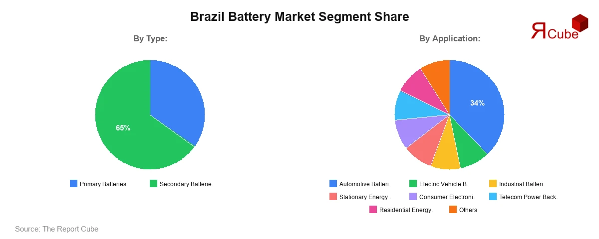 Brazil Battery Market Segment Share
