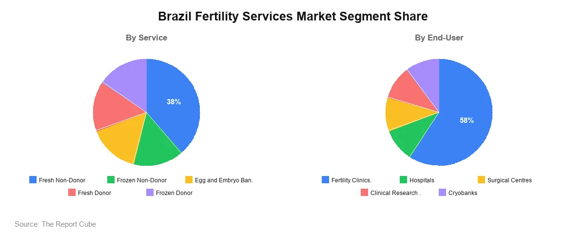 Brazil Fertility Services Market Segment Size Brazil Fertility Services Market Segment-wise Analysis