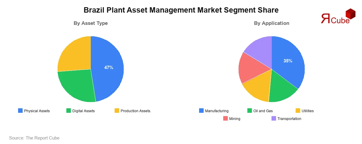 Brazil Plant Asset Management Market Segment-wise Analysis