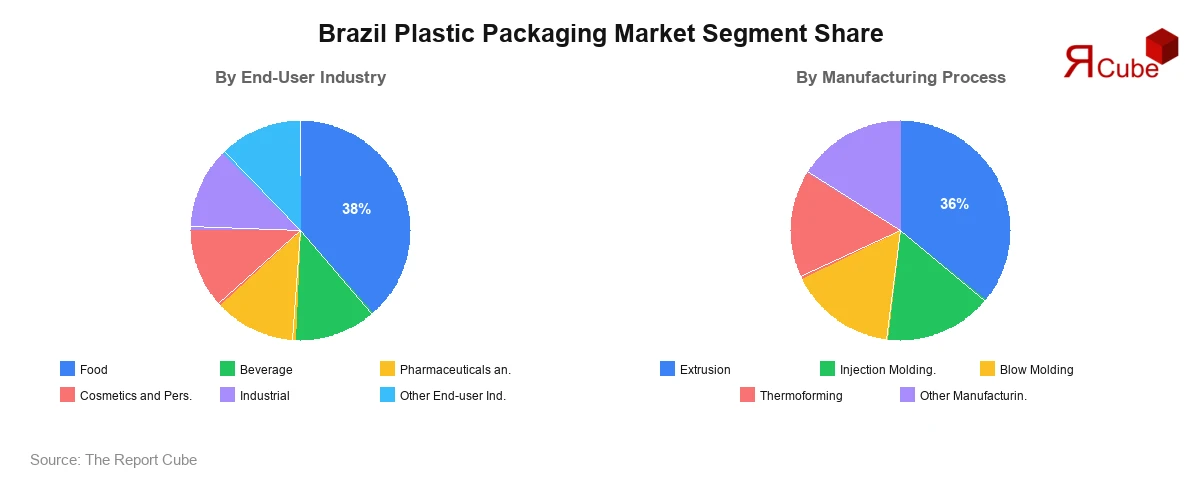 Brazil Plastic Packaging Market Segment Share Brazil Plastic Packaging Market Segment-wise Analysis