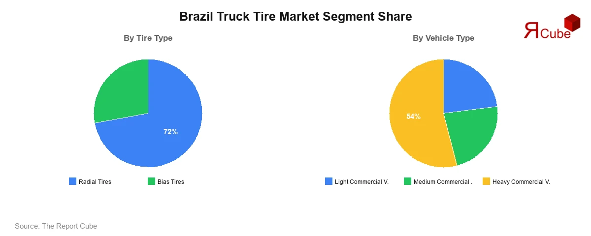 Brazil Truck Tire Market Segment Share