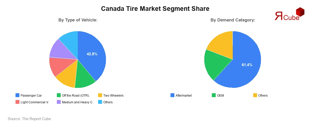 Canada Tire Market Segment Share