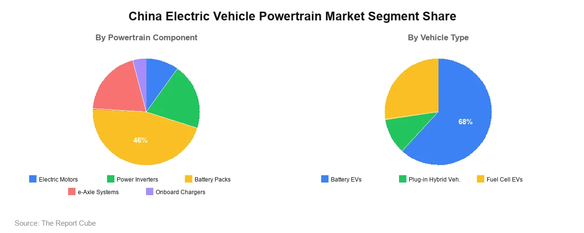 China Electric Vehicle Powertrain Market Segment