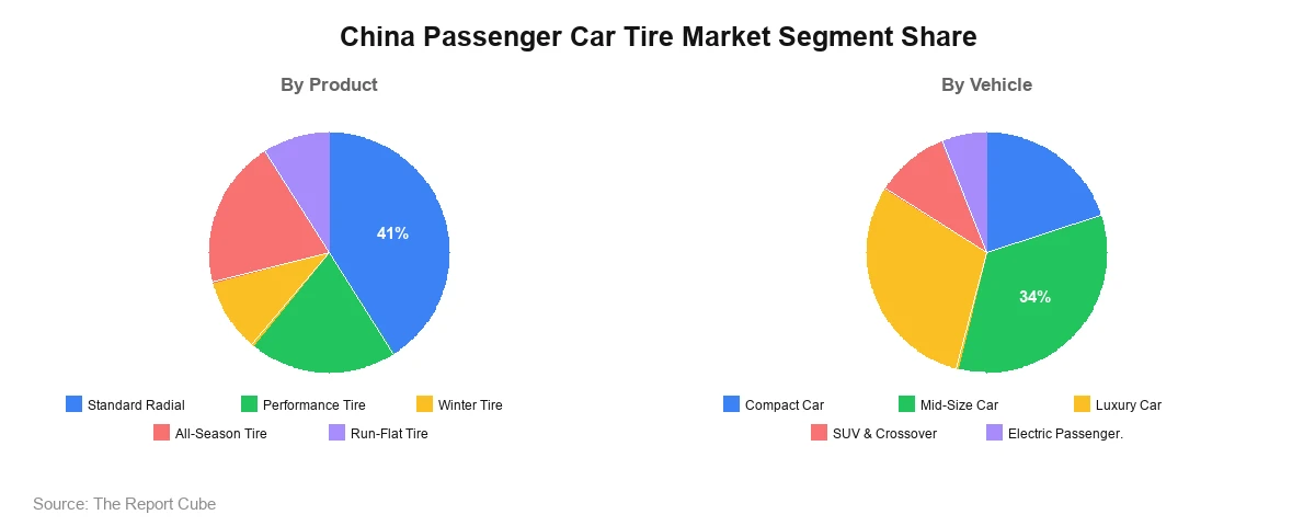 China Passenger Car Tire Market Segment