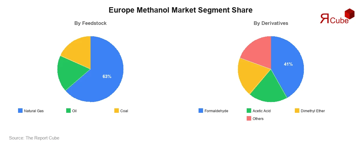 Europe Methanol Market Segment-wise Analysis