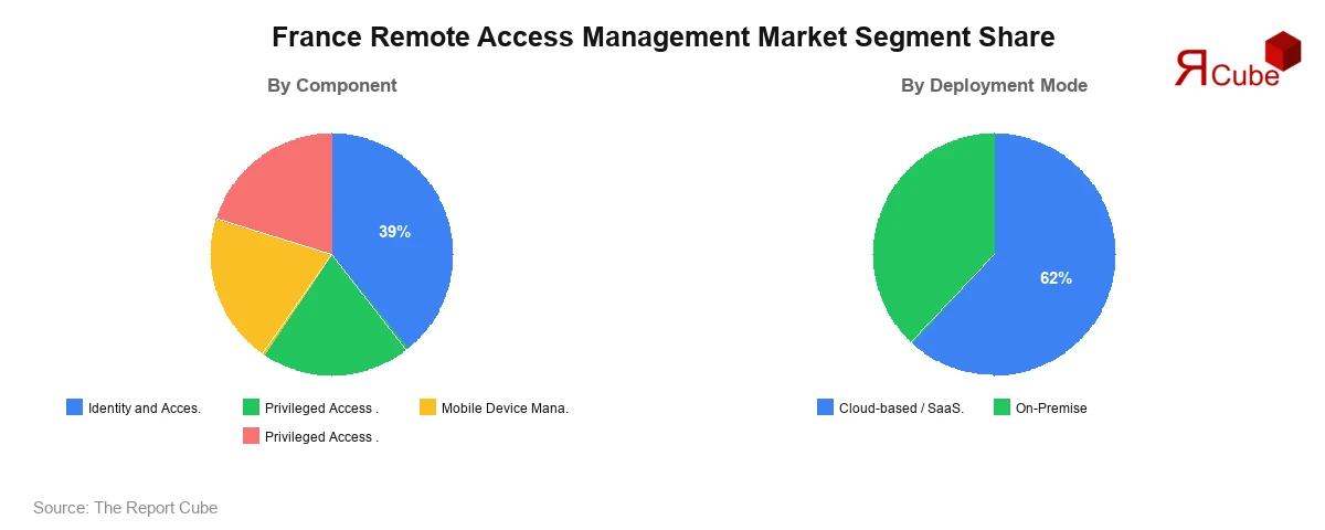 France Remote Access Management Market Segment Share France Remote Access Management Market Segment-wise Analysis