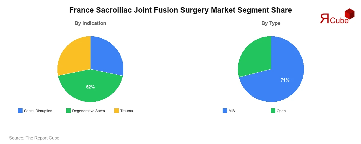 France Sacroiliac Joint Fusion Surgery Market Segment Share France Sacroiliac Joint Fusion Surgery Market Segment-wise Analysis