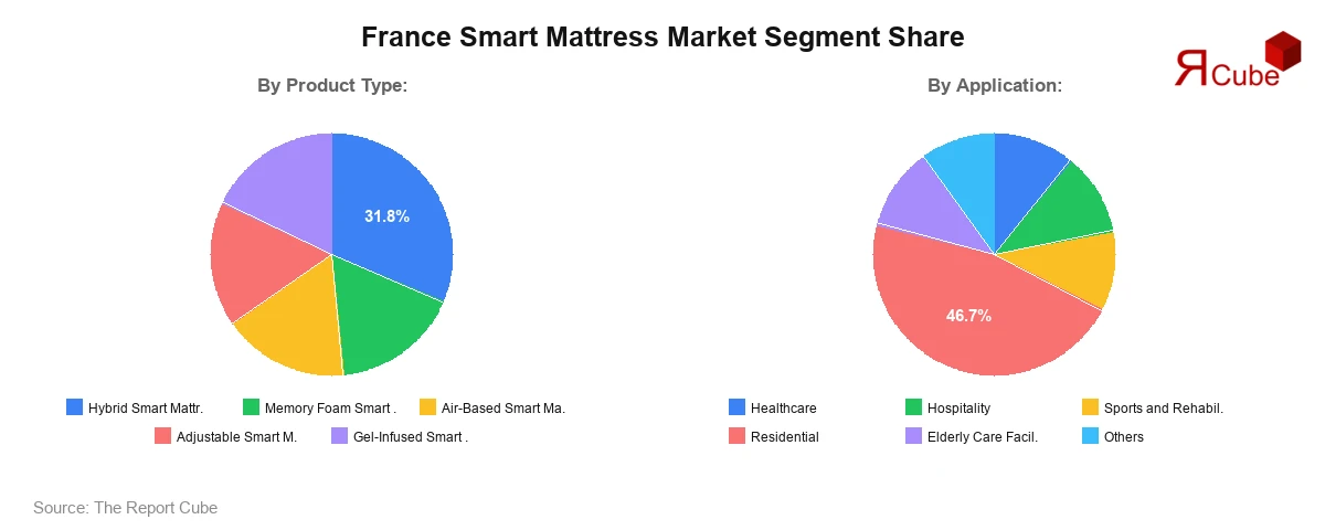 France Smart Mattress Market Segment Share France Smart Mattress Market Segment Share