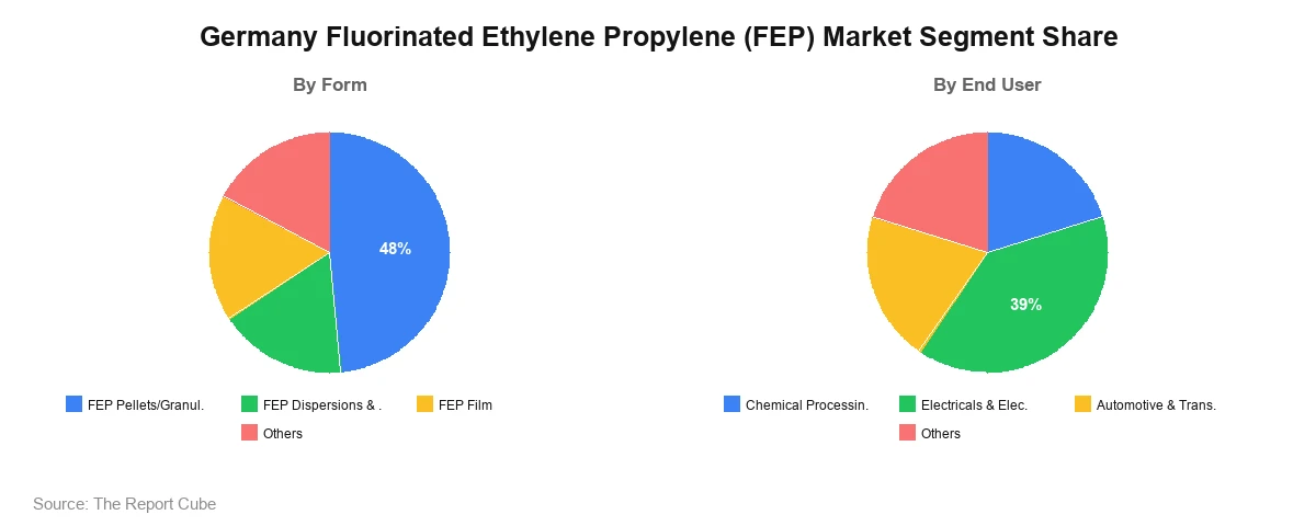 Germany Fluorinated Ethylene Propylene (FEP) Market Segment Germany Fluorinated Ethylene Propylene (FEP) Market Segment-wise Analysis