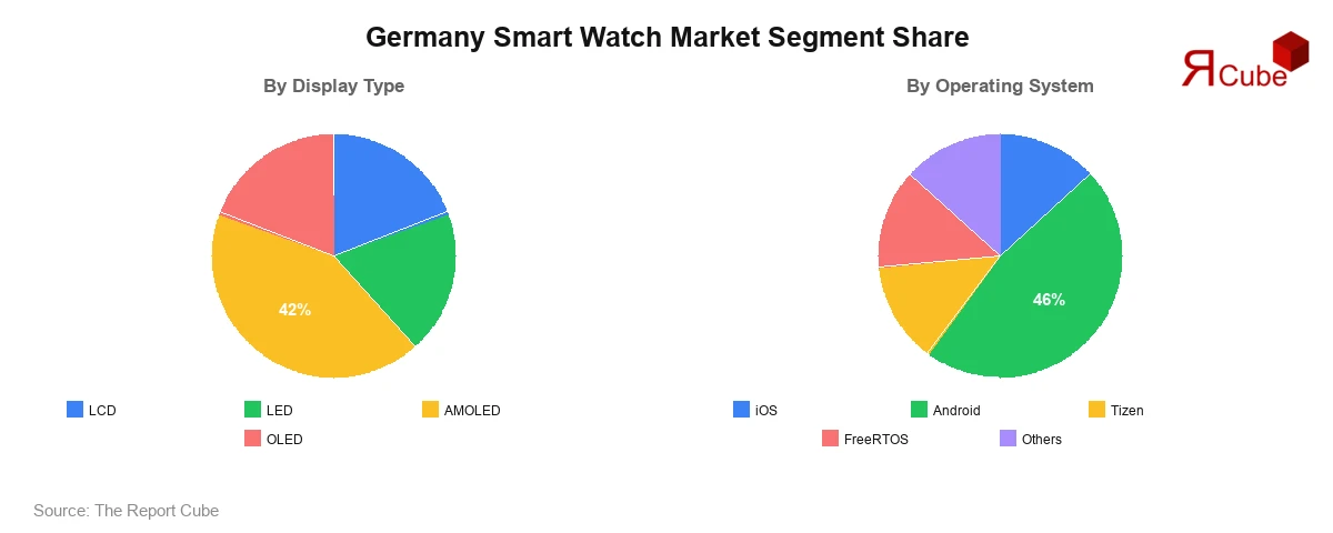 Germany Smart Watch Market Segment-wise Analysis