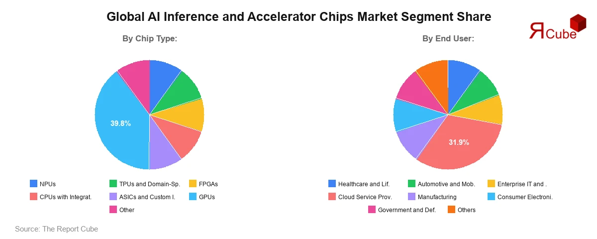 AI Inference and Accelerator Chips Market Segment Share