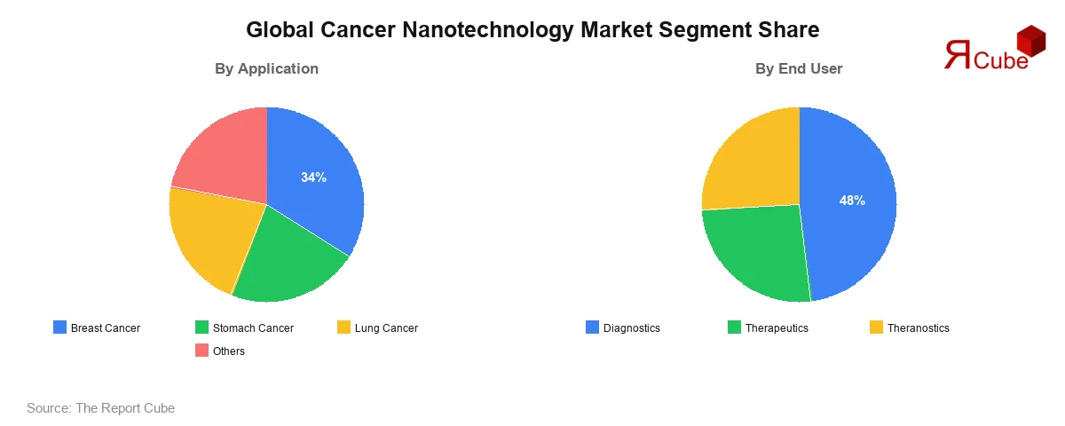 Global Cancer Nanotechnology Market Segment-wise Analysis