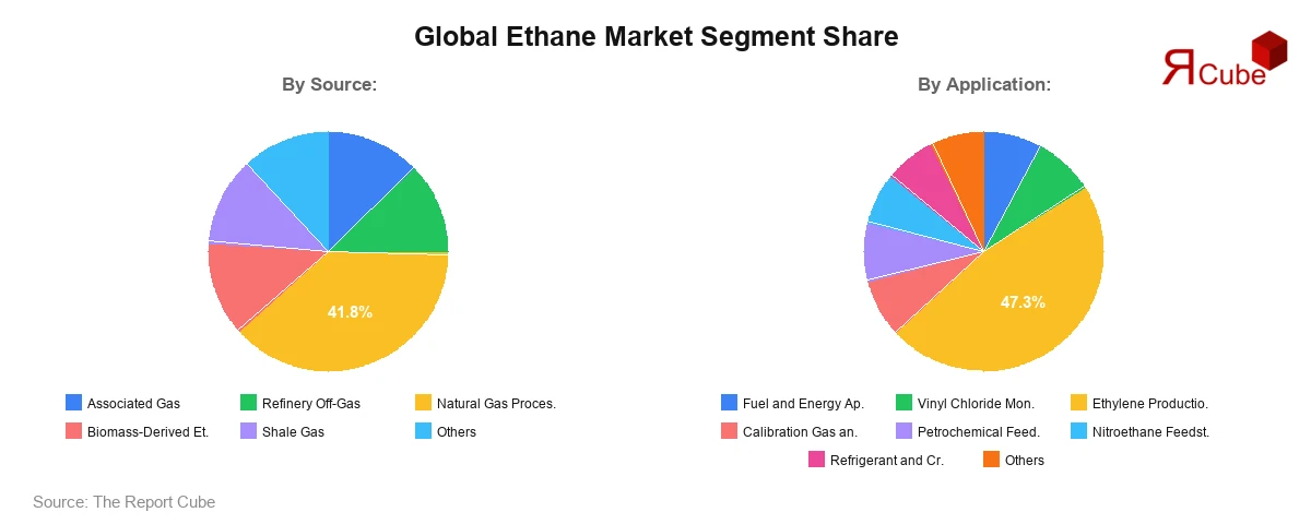 Ethane Market Segment Share