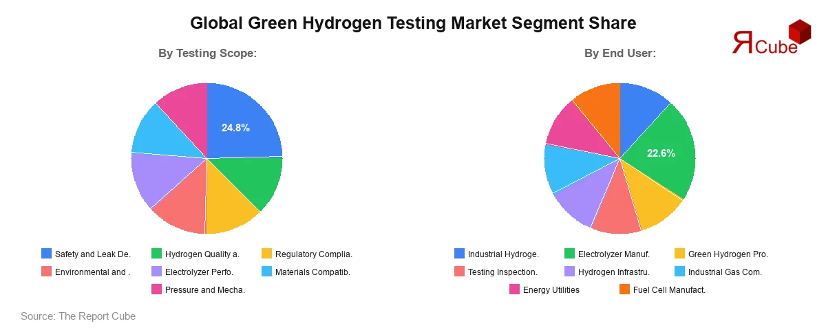 Green Hydrogen Testing Market Segment Share