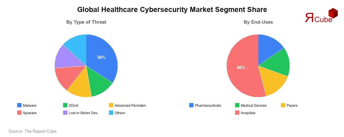 Global Healthcare Cybersecurity Market Segment-wise Analysis
