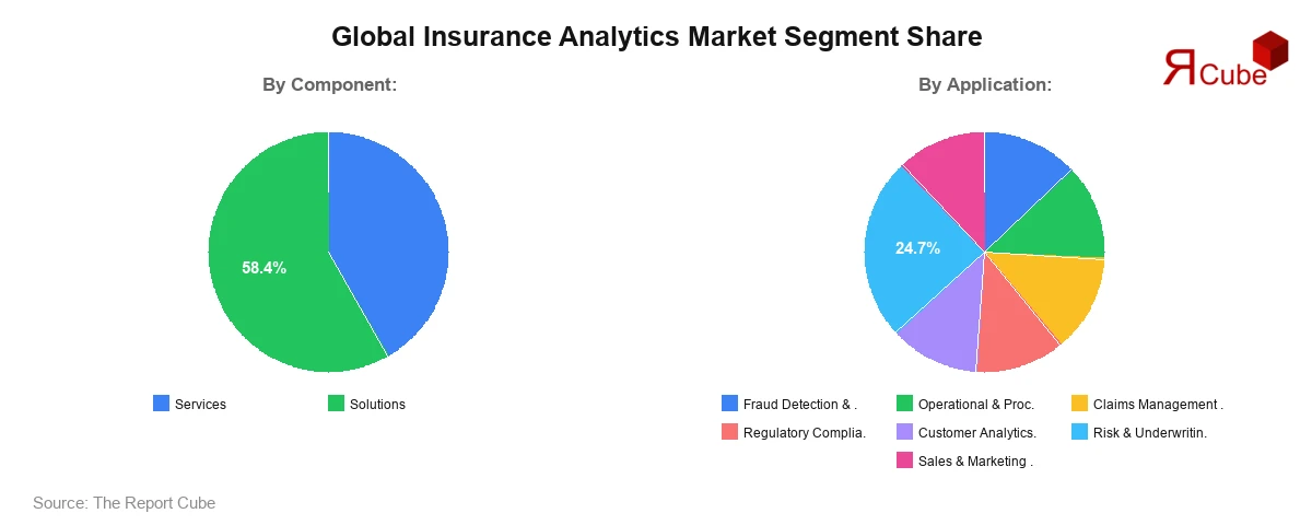 Insurance Analytics Market Segment Share