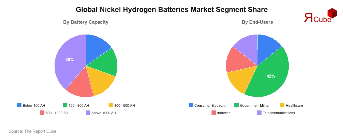 Global Nickel Hydrogen Batteries Market Segment Share Global Nickel Hydrogen Batteries Market Segment-wise Analysis